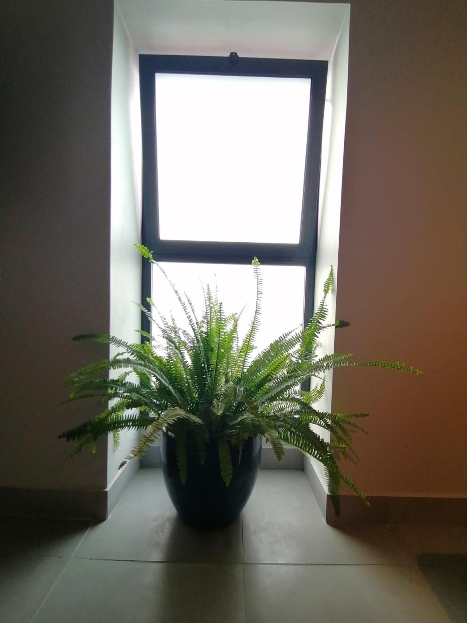 הוילה מצ'יקו Casa Do Favinha מראה חיצוני תמונה